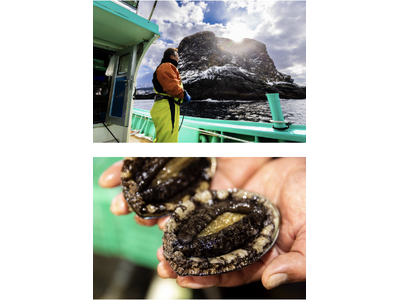 ウニ漁獲減少を背景に、天然利尻あわびの新たな食べ方を提案「天然利尻あわびしゃぶしゃぶ 利尻昆布仕立て 特製肝ソース付き」を利尻富士町のふるさと納税返礼品として3月29日（日）より受付開始