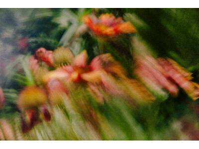 『いつでもいま - ガラスに映す光』柿本ケンサク写真展