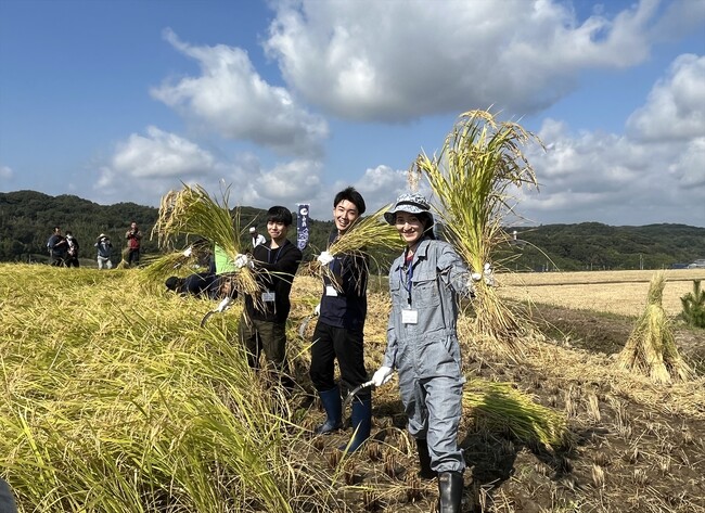 2023年10月15日に兵庫県三木市吉川町で地元の大学生が山田錦の「稲刈り」を体験　　～“二十歳の山田錦物語”プロジェクト～