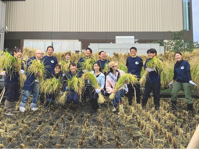 東京・銀座屋上の田んぼ「白鶴銀座天空農園」で自社開発酒米「白鶴錦」の稲刈りが無事終了! ~穀物検査で最高ランクを獲得~