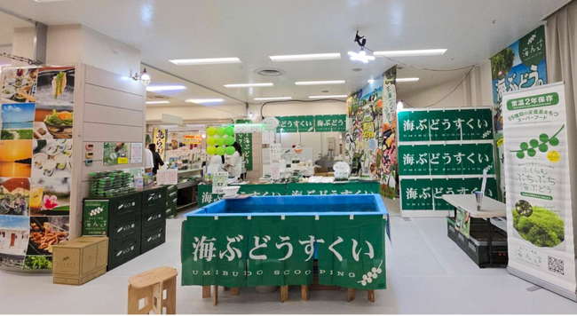 年間5万人が訪れる海ぶどうテーマパーク「海ん道」が期間限定で池袋に登場！