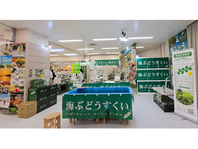 年間5万人が訪れる海ぶどうテーマパーク「海ん道」が期間限定で池袋に登場！