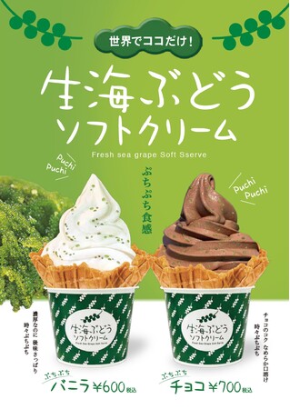 人気商品の「生海ぶどうソフトクリーム」に待望の新フレーバー"チョコ味"が登場！チョコレートのコク・なめらかな口溶け×海ぶどうで「海ぶどう×スイーツ」の新境地