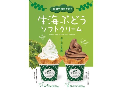 人気商品の「生海ぶどうソフトクリーム」に待望の新フレーバー"チョコ味"が登場！チョコレートのコク・なめらかな口溶け×海ぶどうで「海ぶどう×スイーツ」の新境地