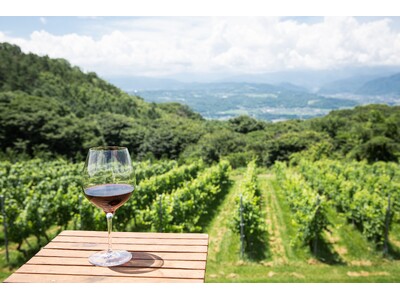 【長野県東御市】地域の魅力を“旅の物語”へ　自然・歴史・食・ワインを伝えるローカルガイドを育成