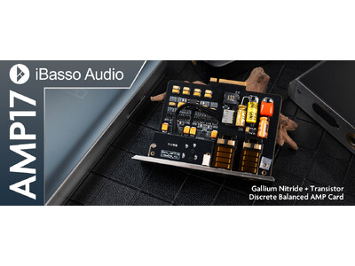 AMP17カード　IBasso DX340用 iBasso AMP17 Amp Card for DX300 Series DAPs AMP17 B&H Photo