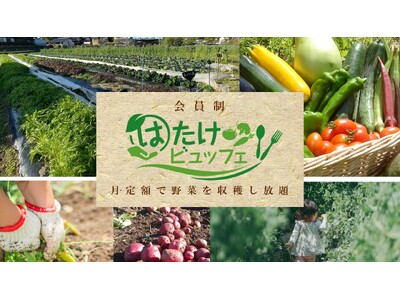 野菜採り放題サービスで農家の労働時間が半分になる「農業×サブスク」全国6県に拡大＜千葉市・相模原市・日進市・小林市オープン＞