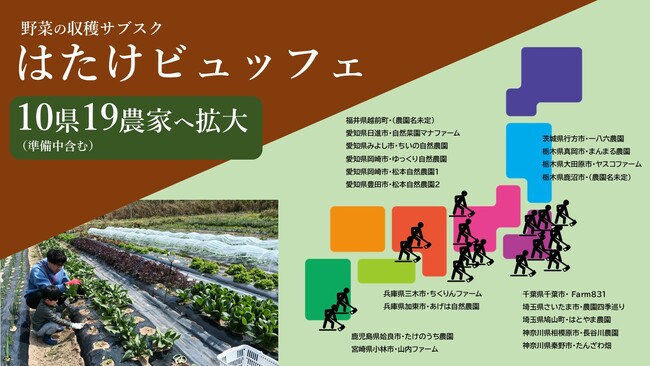野菜採り放題サービスで消費者も生産者も得する！「収穫サブスク農園」が全国9県に拡大【栃木県と福井県で新規オープン】