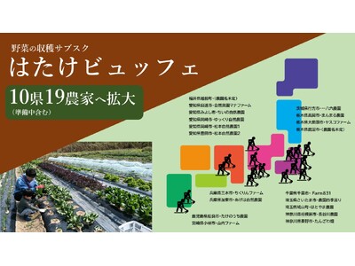 野菜採り放題サービスで消費者も生産者も得する！「収穫サブスク農園」が全国9県に拡大【栃木県と福井県で新規オープン】