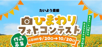 ひまわりの力で田舎を元気に！たいよう農園、雨にも負けずフォトコンテスト開催！