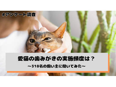 ���L�̎��݂����A���{�p�x�́u��1�`3����x�v�u�قƂ�Ǎs���Ă��Ȃ��v���v54.1% --