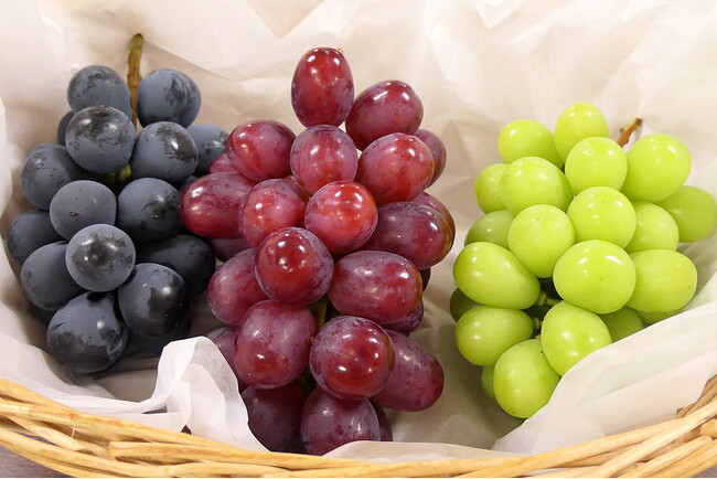 秋の銀座に「信州フルーツ」が続々！ぶどう＆生プルーンが旬を迎えます