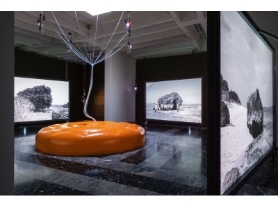 「第58回ヴェネチア・ビエンナーレ国際美術展 日本館展示」でキヤノンのパワープロジェクターが創造的な空間を演出