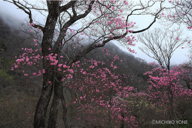 LmtHgnEXʓWuwxʐ^  mq`5Ŗa{̎lG`vJ