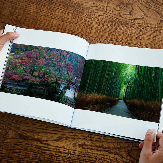 ʐ^Ƃɂ錆܂Ƃ߂ʐ^WV[Y4e@΋r g΂ƂĂ@ǂ܂h 𔭔