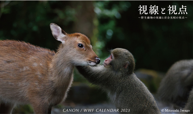 Lm/WWFJ_[2023uƎ_`쐶̎Ɗ⍇̎_`v𔭔