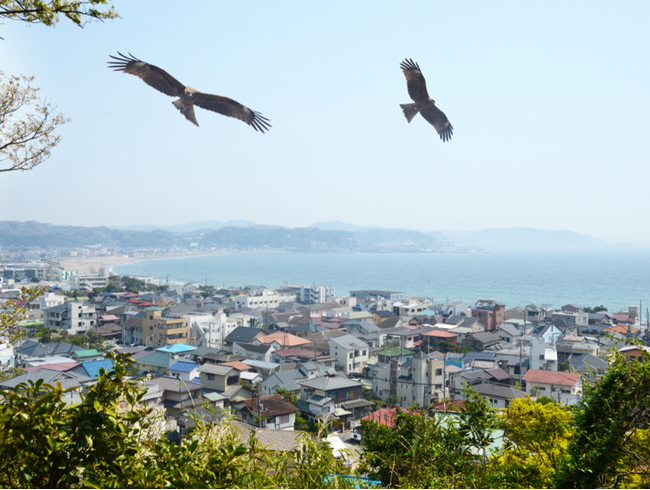 プレスリリース「鎌倉発信。アート×社会実装の新プロジェクト「Aoe」。女性アーティストとクリエイターの魅力を解き放ち、美しく自生し共生する社会を目指すHUG FOR＿. の 新たな取り組みが始まります。」のイメージ画像