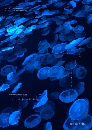 AYǋ錀c@Prelude8{ wnÂƁx㉉@JtFeBŃ`Pbg