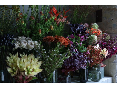 ［4月上旬］パパス・マドモアゼルノンノン丸の内店にてボタニカルショップ「ボワドゥギ」が期間限定オープン！