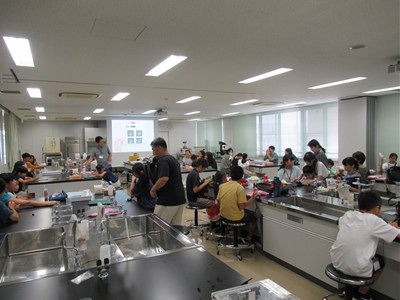 【摂南大学】ナノテクノロジーで人工毛細血管を作ろう
