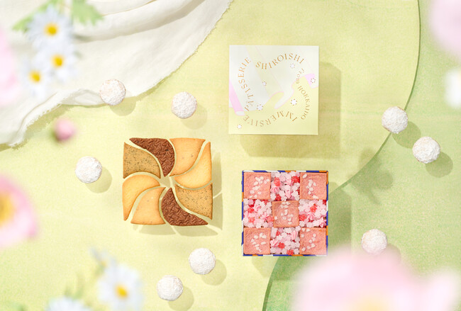 【期間限定】1時間で200缶を売り上げる、クッキー缶シリーズに新作！缶の中身は、花畑 !? あたたかな季節の色鮮やかな贈り物「しろいし洋菓子店のクッキー缶～野花のスケッチ～」