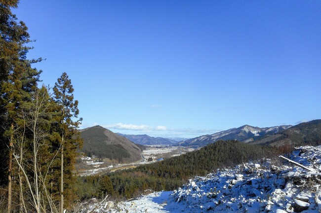 「山で過ごす時間」をもっと身近に。岩手県遠野市にフォレンタ新エリア誕生！気軽に楽しめる森林リフレッシュ体験へ。