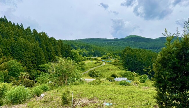 森は“所有”から“レンタル”する時代へ。都市と自然が交わる静岡県浜松市天竜区に、プライベートな森林空間が誕生。