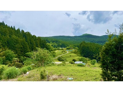 森は“所有”から“レンタル”する時代へ。都市と自然が交わる静岡県浜松市天竜区に、プライベートな森林空間が誕生。