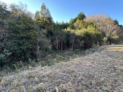 静岡県浜松市・引佐町田沢に里山の森を自然のまま使えるフォレンタ新キャンプエリアが誕生