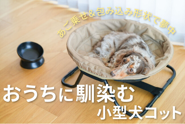 愛犬に特等席のご褒美！サッと開いてすぐ寛げる簡単ドッグコット