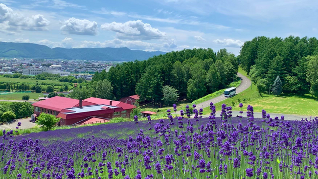 【北海道富良野市】富良野・美瑛ノロッコ号ラストイヤーの夏、駅から先の観光周遊をもっと快適に！