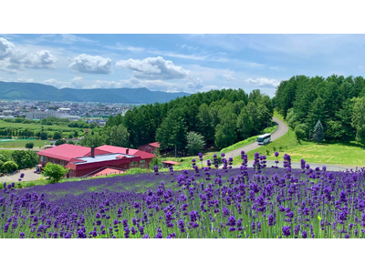 【北海道富良野市】富良野・美瑛ノロッコ号ラストイヤーの夏、駅から先の観光周遊をもっと快適に！