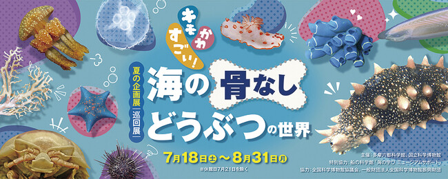 プレスリリース「【多摩六都科学館】この夏、 “キモかわすごい” 海の生き物たちが集結」のイメージ画像