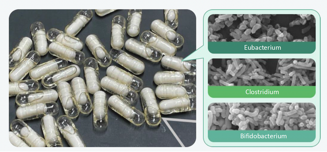 株式会社NERON、理化学研究所と腸内細菌-腸-脳相関研究によるメンタルヘルス改善の共同研究を開始