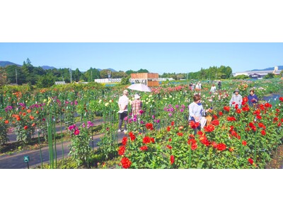 【創業70年、ワクワクを生み出す製造業 きもと】製造業が休耕地を花園に　地域住民46人と育てる「KIMOTOダリア園」が9月28日開園