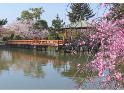 【新店舗オープン】金閣寺近くに香りの体験空間「MY ONLY FRAGRANCE金閣店」が2025年4月25日（金）にオープン！限定フレグランスも登場