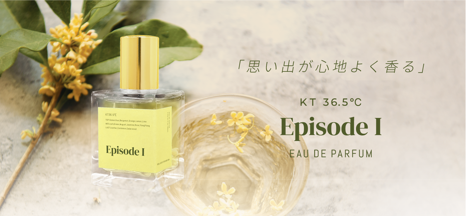 大好評のスキンフレグランス KT36 5℃ から１００本だけの限定商品「EpisodeI EAU DE PARFUM」を発売！ キンモクセイの天然香料と緑茶の香りが生み出す極上の心地よさ