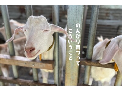 山羊も親鳥も“うまい”で再発見！那覇の居酒屋「酒処よっちゃん。」が提案する沖縄大衆ガストロノミー