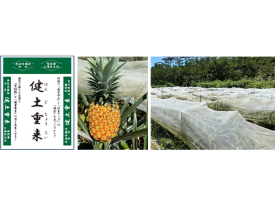 農林水産省が推進する“持続可能な食料システム”の構築を後押し 下水汚泥由来の肥料「健土(けんど)重来(ち...