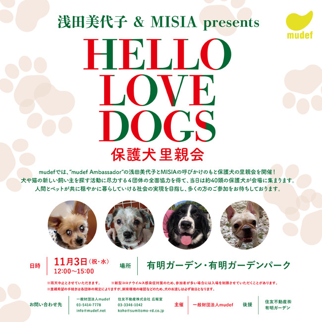 浅田美代子 Misia Presents Hello Love Dogs 保護犬里親会 記事詳細 Infoseekニュース