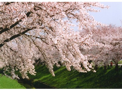 奈良県景観資産パネル展の開催について