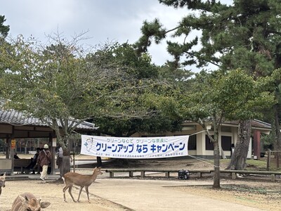 2026クリーンアップならキャンペーン