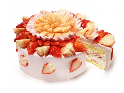 カフェコムサは毎月22日が「ショートケーキの日」！1月は珍しい”白いちご”を使用した限定ケーキ