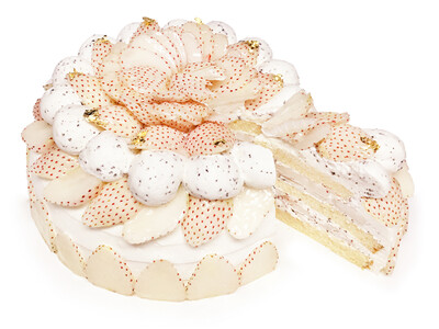 カフェコムサは毎月22日がショートケーキの日！1月は白いちごを使用したショートケーキが登場