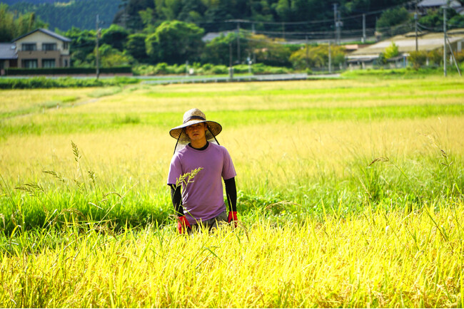 佐賀県初の自然共生サイト認定里山から「自然共生サイト米」を初出荷【2030年ネイチャーポジティブの実現に向けて】