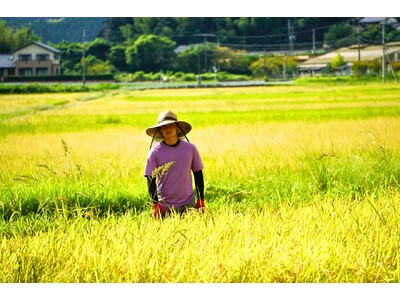 ふるさと納税で選ぶ、“里山の未来を育てるお米”