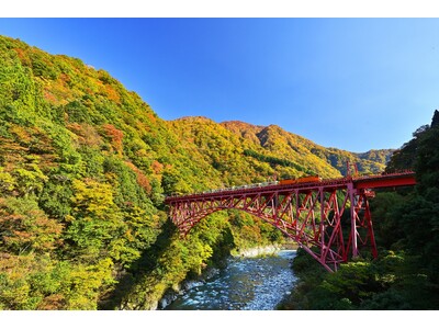 黒部峡谷（トロッコ電車沿線）の紅葉見頃について