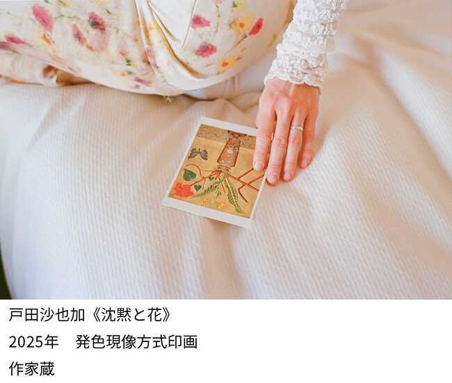 アーティストとひらく　戸田沙也加展　沈黙と花【横浜美術館】