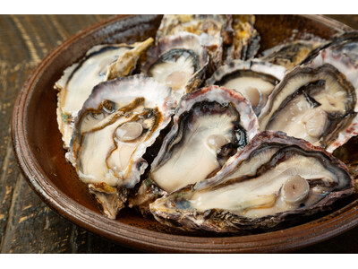 【うおぎん】11月27日(木)グランドオープン！！全国の“旬の魚”を職人の技で届ける本格海鮮居酒屋が誕生！！