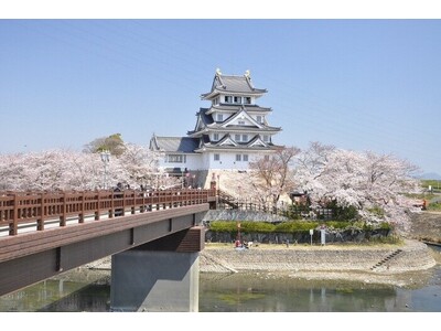 大河ドラマゆかりの地から1500年の巨桜まで岐阜が誇る桜の名所・厳選5スポットをご紹介 | 大河ドラマで...
